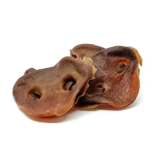 groin de porc groin de porc récompense pour chien ou chiot