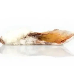 friandise naturelle: oreille de lapin avec poils pour chien, chienne et chiot