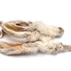 oreille lapin poils naturel (2) (1)