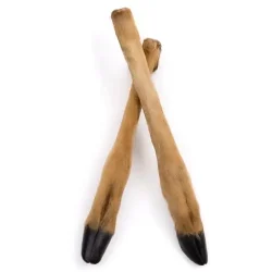 patte de cerf parfait pour une longue occupation du chien