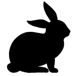 LAPIN