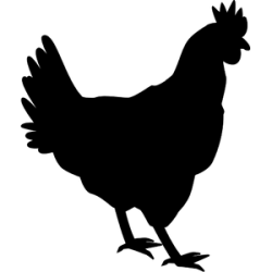 VOLAILLE