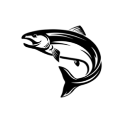 SAUMON