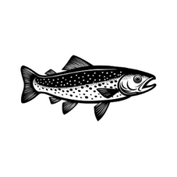TRUITE