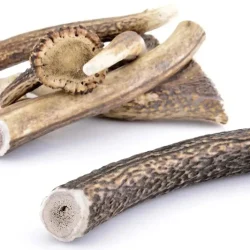 bois cerf durable naturel