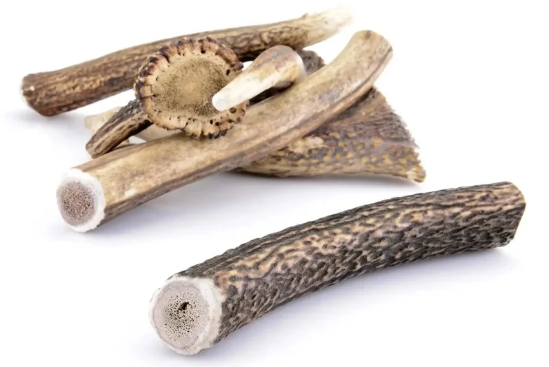 bois cerf durable naturel bois cerf durable naturel