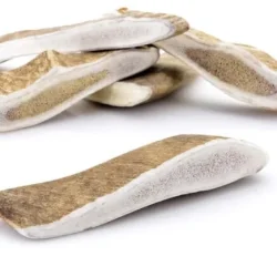 bois daim naturel durable