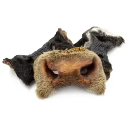 friandises boeuf naturel chien