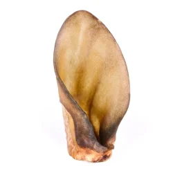 friandises oreille boeuf naturel