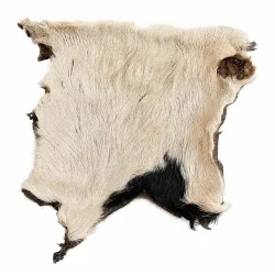friandise naturel boeuf durable
