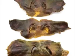 museau de boeuf friandises pour chien à massy palaiseau